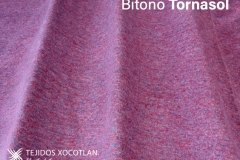 1_Bitono-Tornasol